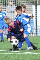 /album/fk-bb-fk-zelenec/img-7991-jpg/