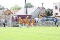 /album/a3-5-brandys-n-l-zapy-st-boleslav/filip-kop-jpg/